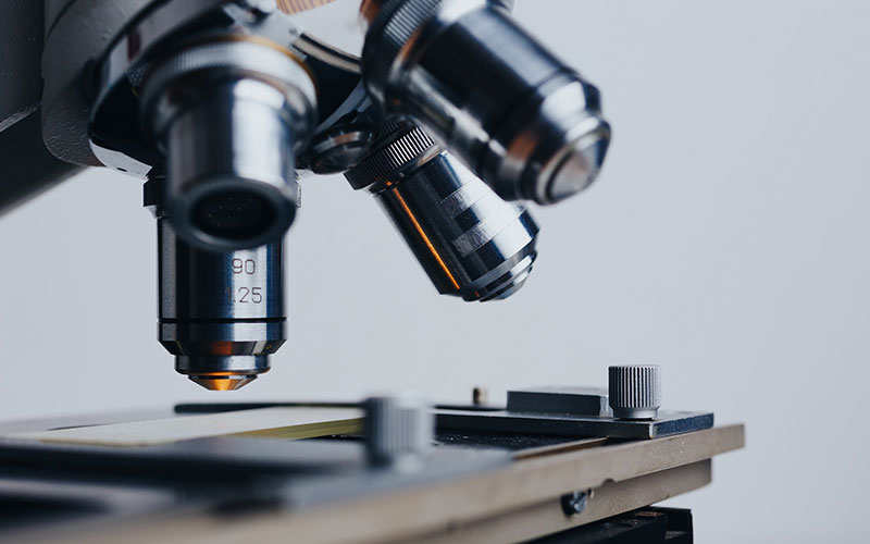 fkk informationen forschungsfoerderung uebersicht