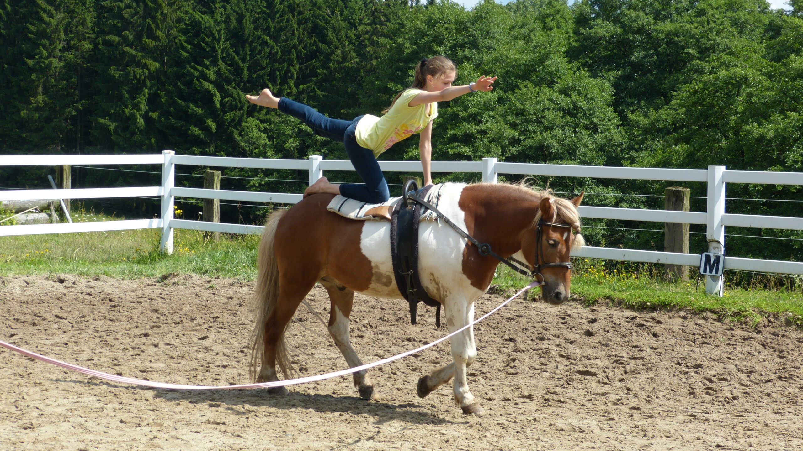 Nachsorge Reiterfreizeit 2 scaled
