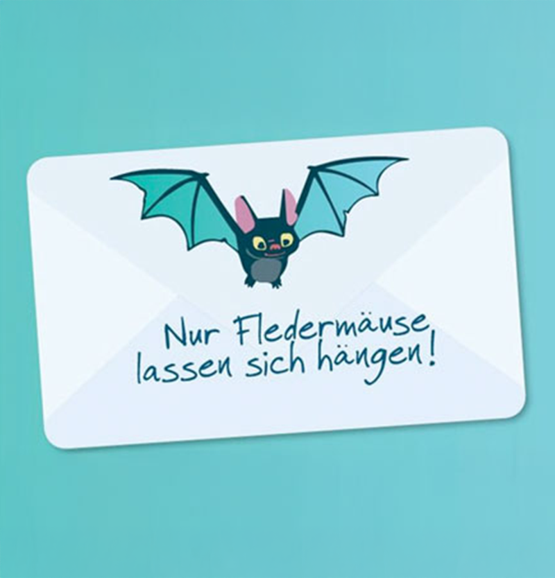 fvkk fledermausnewsletter